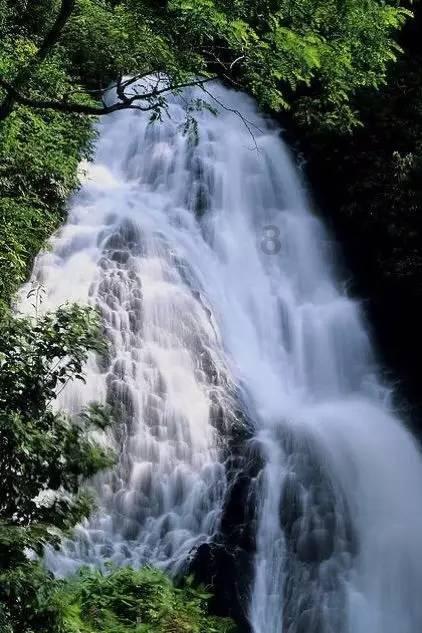 喜羊羊要上200层