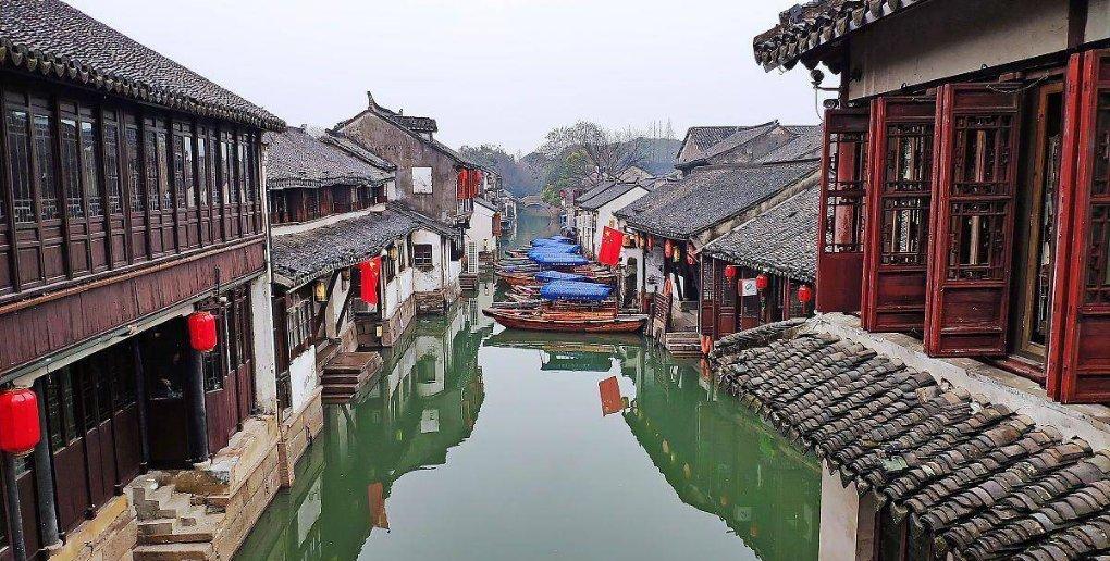 僵尸吃怪物